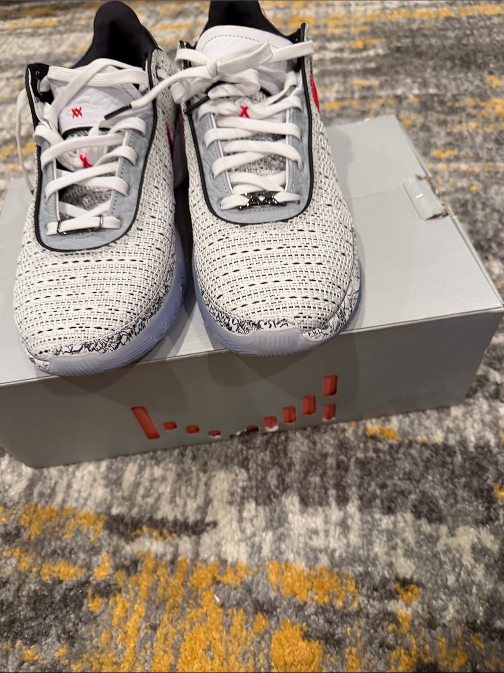 Lebron XX DS